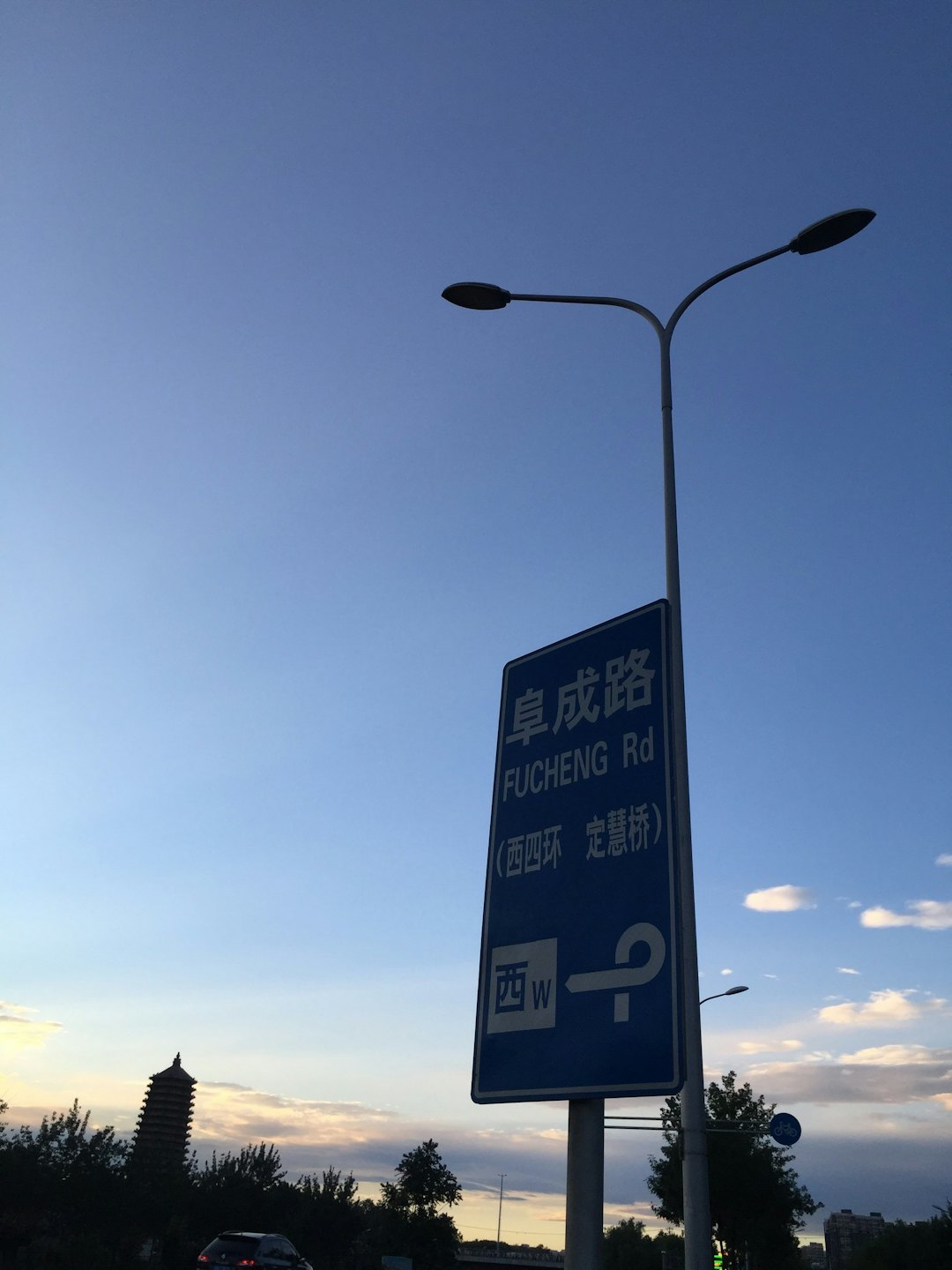 Blue road sign standing beside a street light outdoors.